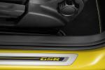 Volkswagen Beetle GSR Limited Edition 2013 года